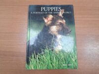 کتاب Puppies A Portrait Of the Animal World (دست دوم)
