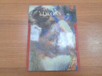 کتاب Degas Daniel Catton Rich (دست دوم)
